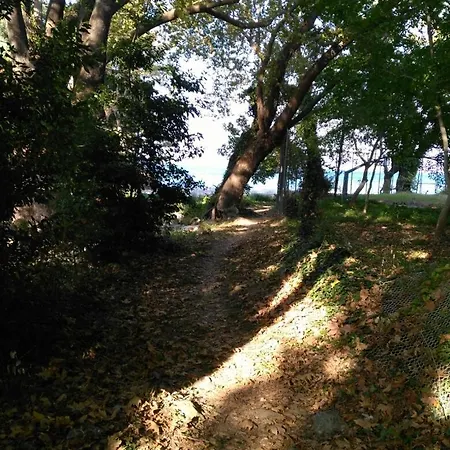 Seaside - Psarolakas, Karitsa, Lodge Larissa